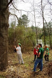 Using a rope over a tree branch to lift a bear bag