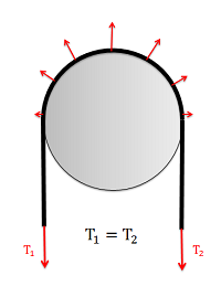 Belt Without Friction